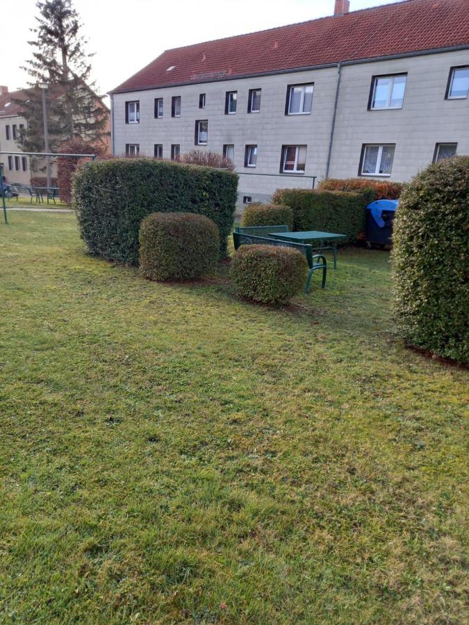 Pine Crest Ferienwohnung Harzgerode Eksteriør billede